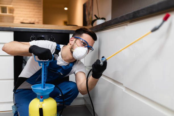 Pest Control for Restaurants in Kirtland Af, NM