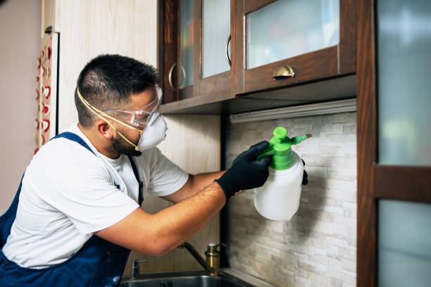 Best Best Pest Control Companies  in Kirtland Af, NM