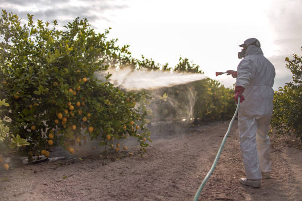 Pest Control Cost in Kirtland Af, NM