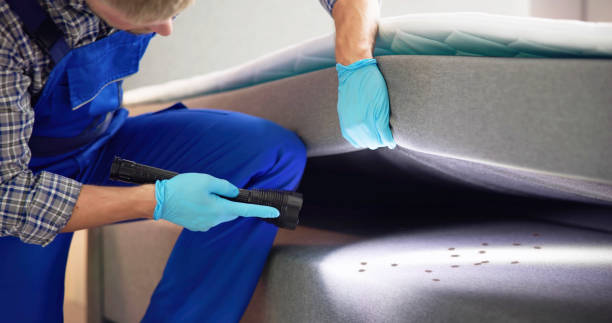 Best Affordable Pest Control Services  in Kirtland Af, NM