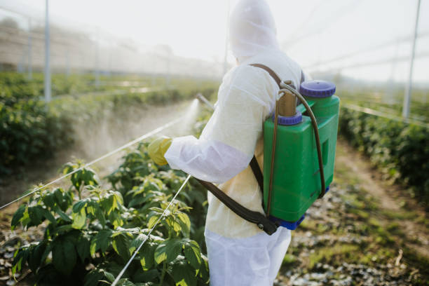 Best Pest Control for Restaurants  in Kirtland Af, NM